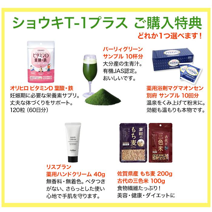 たんぽぽ茶 ショウキT-1プラス タンポポ茶 30袋 妊活 徳潤 たんぽぽ茶 ショウキT-1プラス タンポポ茶 30袋 妊活 徳潤