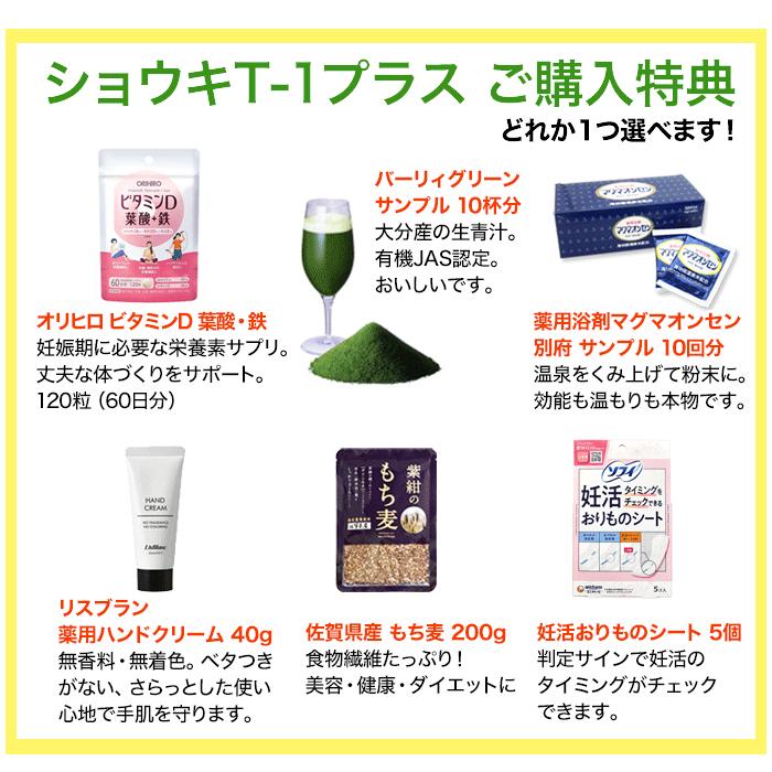 ショウキT-1 たんぽぽ茶 29袋 たんぽぽ茶 ショウキT-1プラス タンポポ茶 30袋 妊活 徳潤
