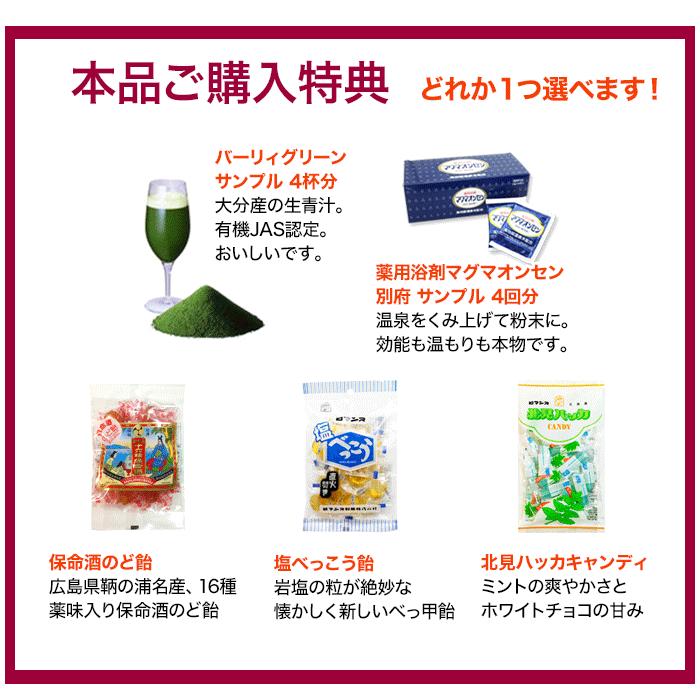 棗参宝 そうじんほう 100粒入 棗（なつめ）の鉄分＋阿膠（コラーゲン