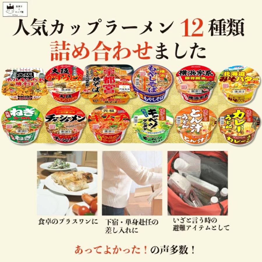 ニュータッチ カップ麺 箱買い カップラーメン 1ケース 詰め合わせ