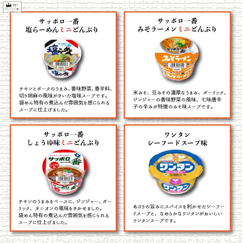 日清食品 カップ麺 詰め合わせ カップラーメン 12種 箱買い ミニ