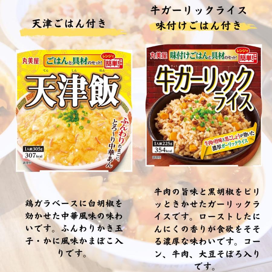 丸美屋 レトルト食品 詰め合わせ 常温保存 惣菜 ごはん付き 20個
