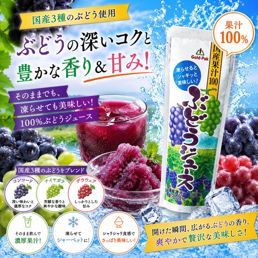 ゴールドパック ジュース 食品 ギフト 詰め合わせ シャーベット