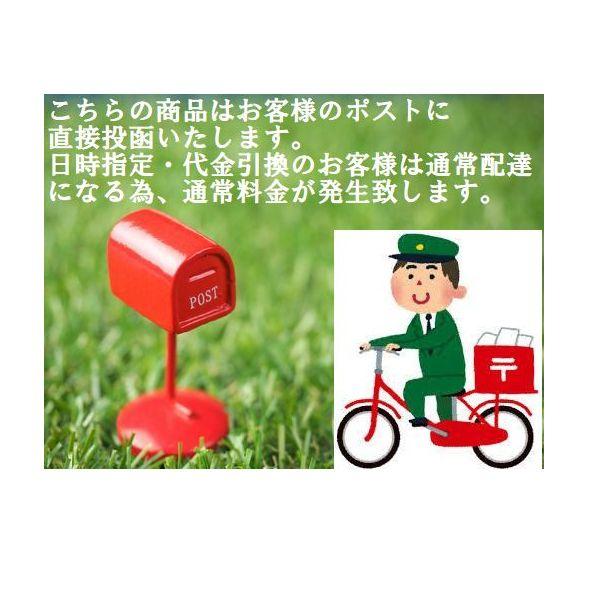 GUNZE（グンゼ） 紳士 長ズボン下 ステテコ 前あき 快適工房 メンズ