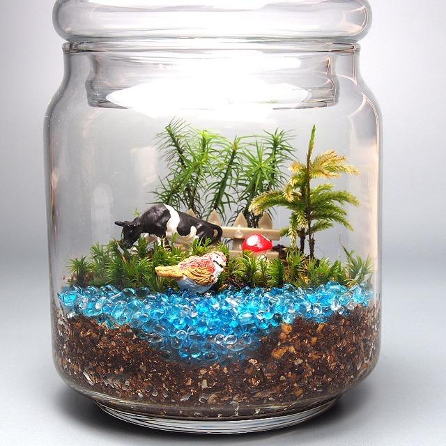 苔テラリウム 手作りキット 一式 ガラスポット 観葉植物 ミニ  
