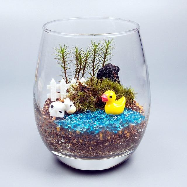 ルスプリット 苔テラリウム 手作りキット 観葉植物 ミニ テラリウム 苔