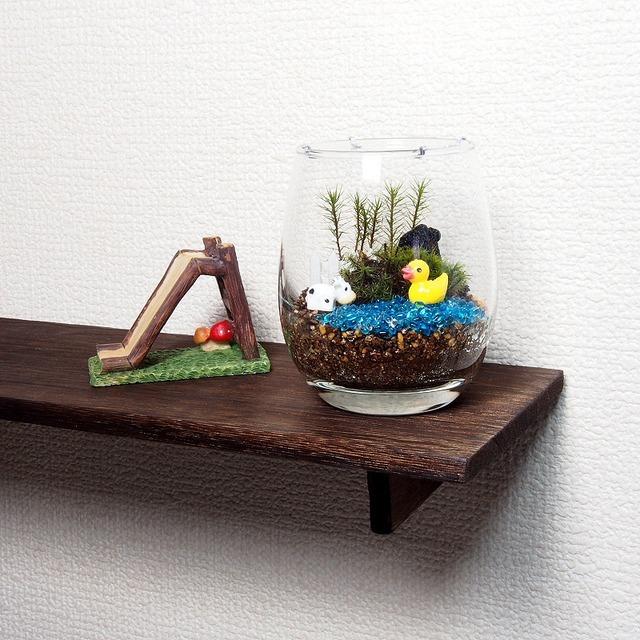 ルスプリット 苔テラリウム 手作りキット 観葉植物 ミニ テラリウム 苔