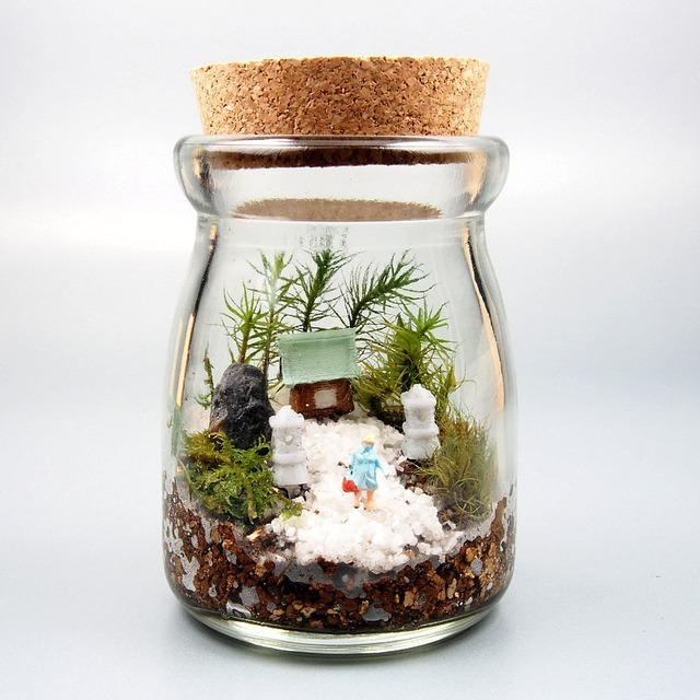苔テラリウム 手作りキット寺苔 コルク付きビン 観葉植物 ミニ テラリウム 苔 コケ 苔リウム 園芸 ガーデニング インテリア 苔盆栽 癒し Moss 初心者 1669 ココクレ 通販 Yahoo ショッピング