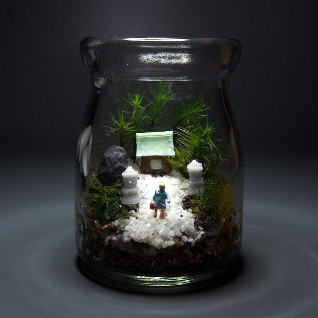 苔テラリウム 手作りキット寺苔 コルク付きビン 観葉植物 ミニ