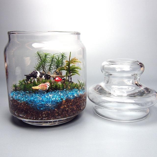 1134円 Sale 58 Off 苔テラリウム 手作りキット 一式 ガラスポット 観葉植物 ミニ テラリウム 苔 コケ 苔リウム 園芸 ガーデニング インテリア 苔盆栽 癒し Moss 初心者