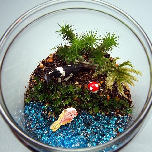 1134円 Sale 58 Off 苔テラリウム 手作りキット 一式 ガラスポット 観葉植物 ミニ テラリウム 苔 コケ 苔リウム 園芸 ガーデニング インテリア 苔盆栽 癒し Moss 初心者