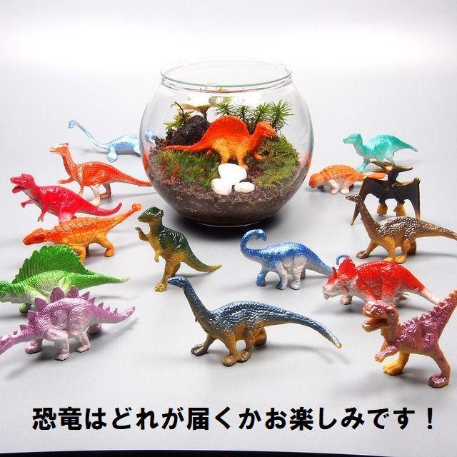 恐竜 苔テラリウム 金魚鉢 手作りキット一式 観葉植物 おしゃれ ミニ