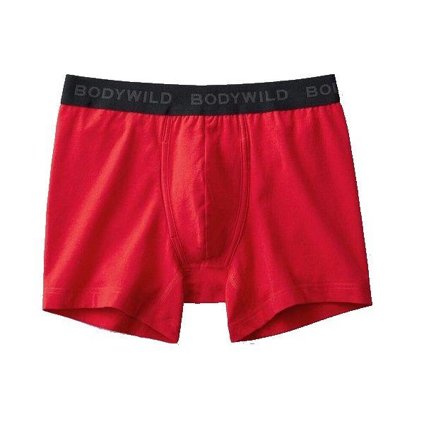 GUNZE（グンゼ） 赤パン ボクサーパンツ ボクサー ブリーフ 赤パンツ