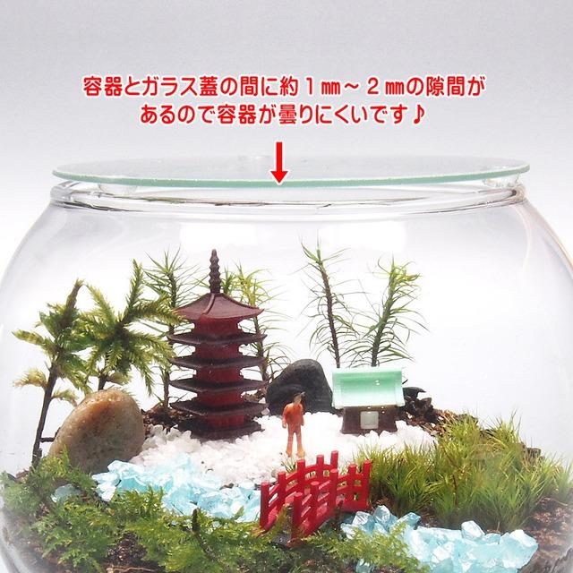 五重塔 日本情景 苔テラリウム 手作りキット 一式 観葉植物 おしゃれ