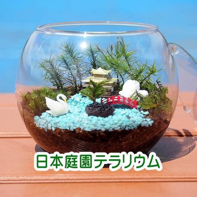 ‼️苔テラリウム　石付きオブジェ　インテリア　苔オブジェ インテリア 苔 テラリウム 苔テラリウム 石付きオブジェ インテリア 苔