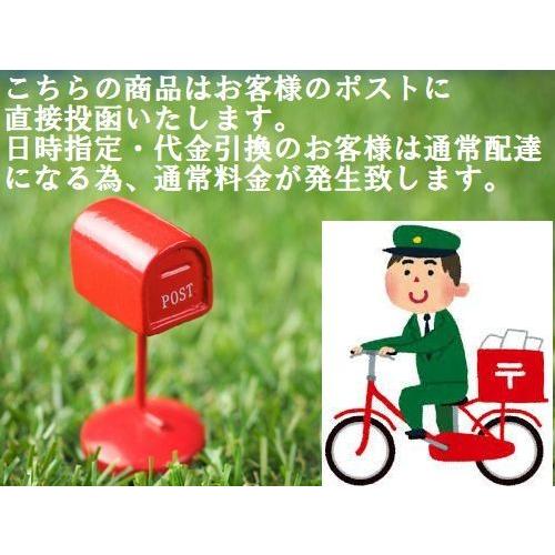 お掃除スリッパ Lサイズ モップスリッパ 激落ちくん 床掃除 25〜27cm スリッパ ルームスリッパ 送料込み（ポスト投函） | ブランド登録なし | 03