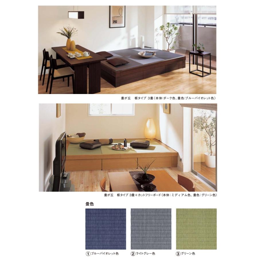 Panasonic（パナソニック） 畳が丘 カラー畳3×4座卓用2枚入 