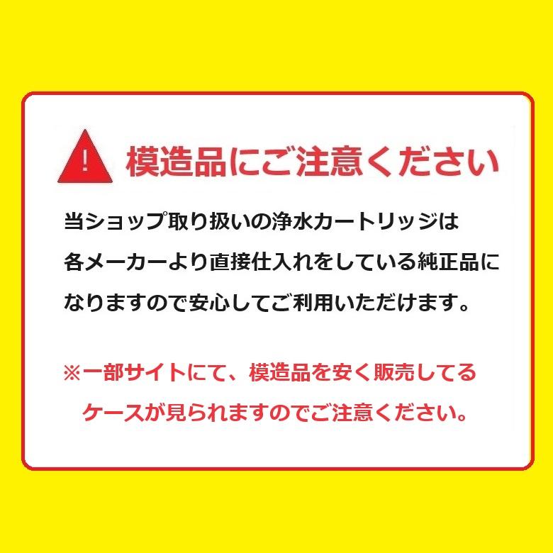 TK-HB41C1SK【在庫あり・平日午前中のご注文で当日出荷】　パナソニック　交換用カートリッジ　還元水素水生成器用オプション｜shopsz｜02