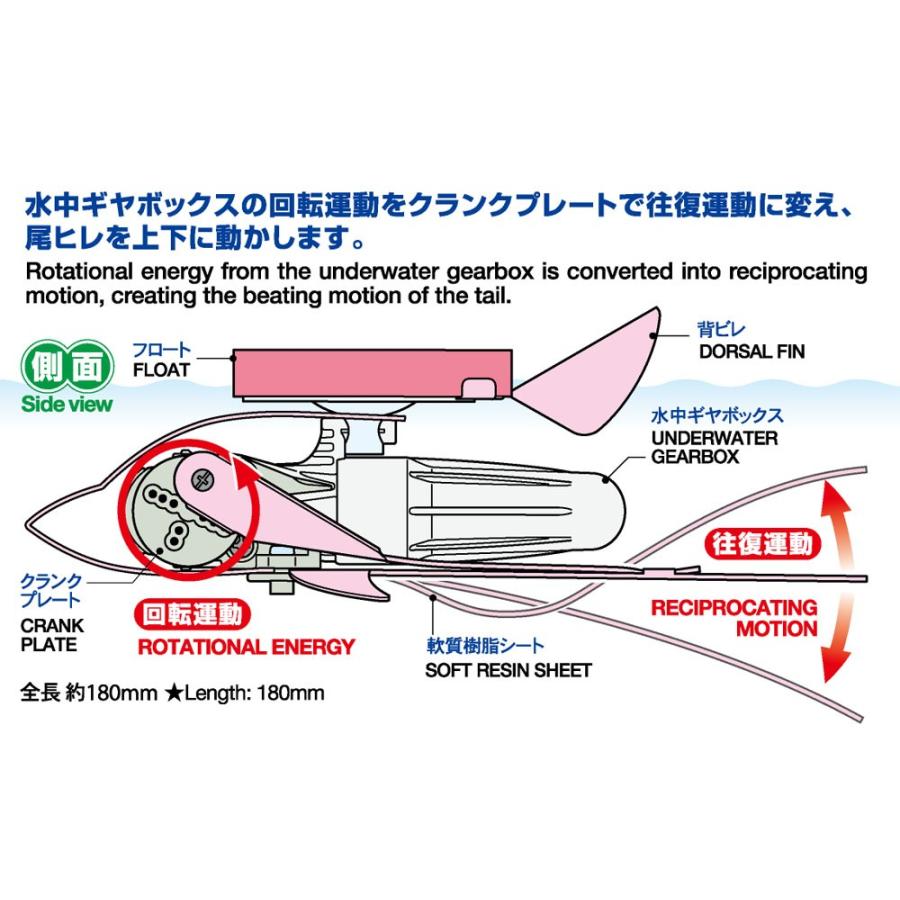 タミヤ 泳ぐイルカ工作セット Item No：70224　｜shoptakumi｜02