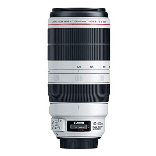 Canon キヤノン 望遠ズームレンズ EF100-400mm F4.5-5.6L IS II USM 