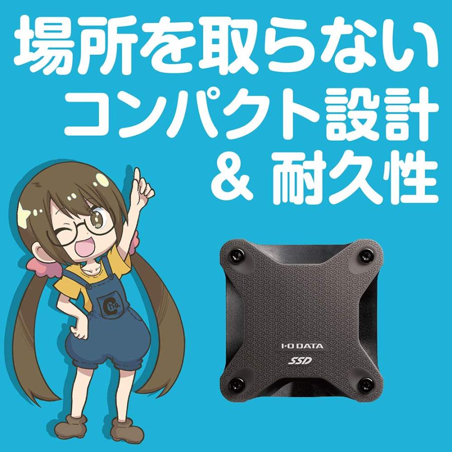 PS4対応 外付けSSD 480GB [PlayStation 4]の画像