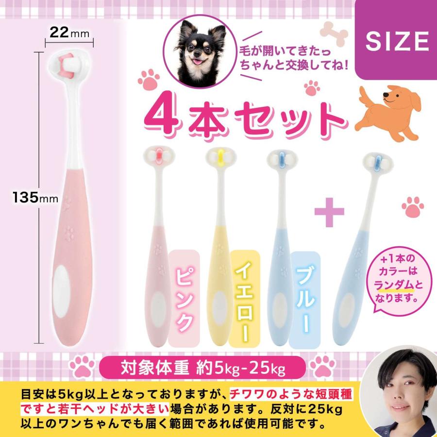 小動物歯科研究医が監修】 犬 歯ブラシ 小型犬 1万本の極細毛 嫌がら