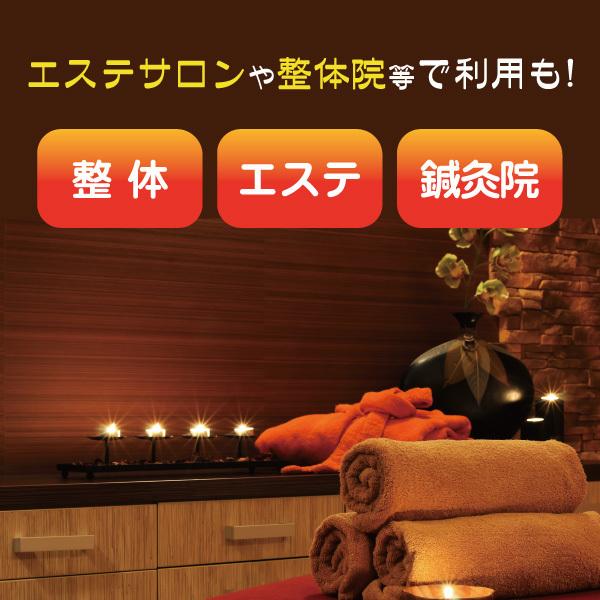 業務用 【鍼灸整骨・整体・デジタル表示】温熱 ホットパック 動作品！ ホットパック 温熱パッド 腰用 温熱療法 温熱治療器 業務用 マッサージ
