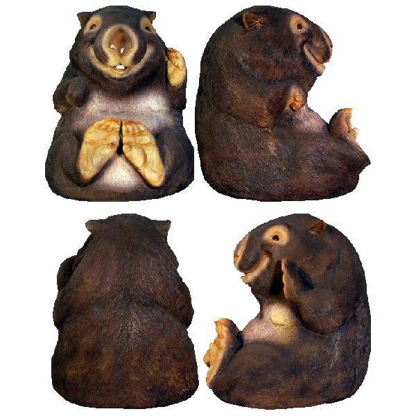 シロクマの爪（前足）1点のみ ※CITES書類付 【公式通販】