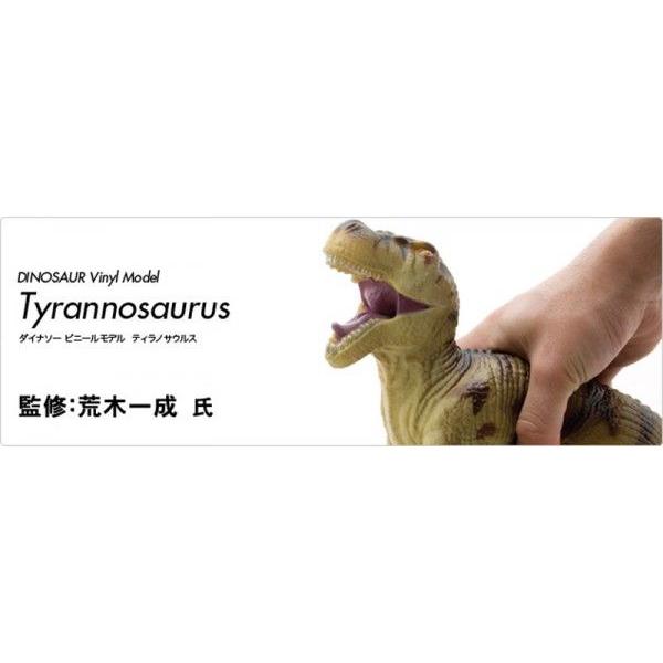 恐竜 ティラノサウルス ビニールモデル (FD-302)｜shoptukiusagi｜05