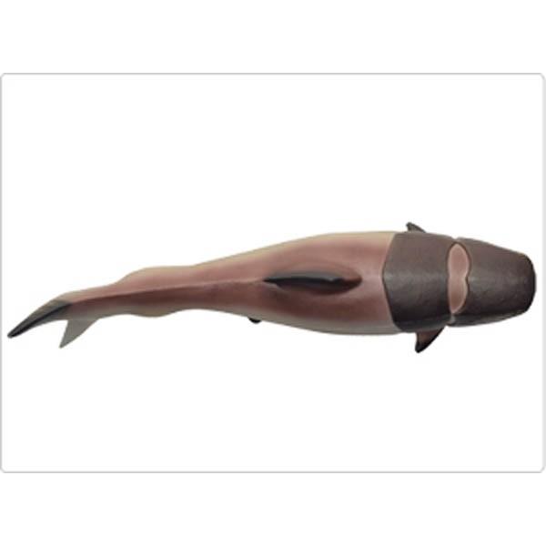 ダンクレオステウス ビニールモデル (FP-304) p-61190