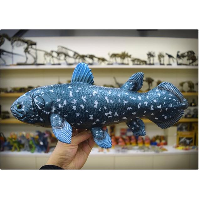 シーラカンス ビニールモデル(FF-301) 77715 p-61333 : セレクト