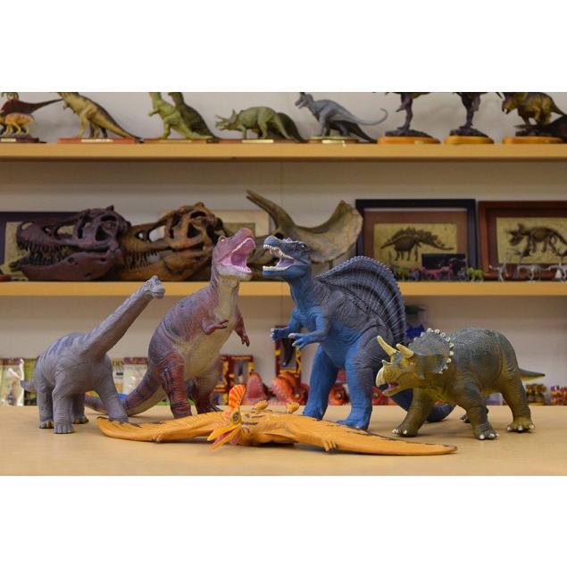 恐竜 ビニールモデル プレミアムエディション 5種類セット p 恐竜 ビニールモデル プレミアムエディション 5種類セット p