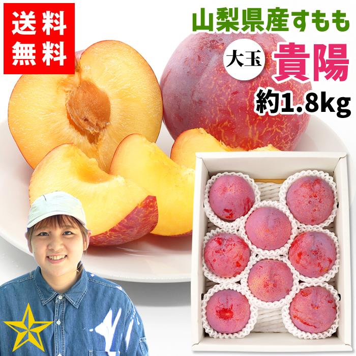 すもも 貴陽 プラム 山梨県 南アルプス市産 送料無料 農家直送 あおい