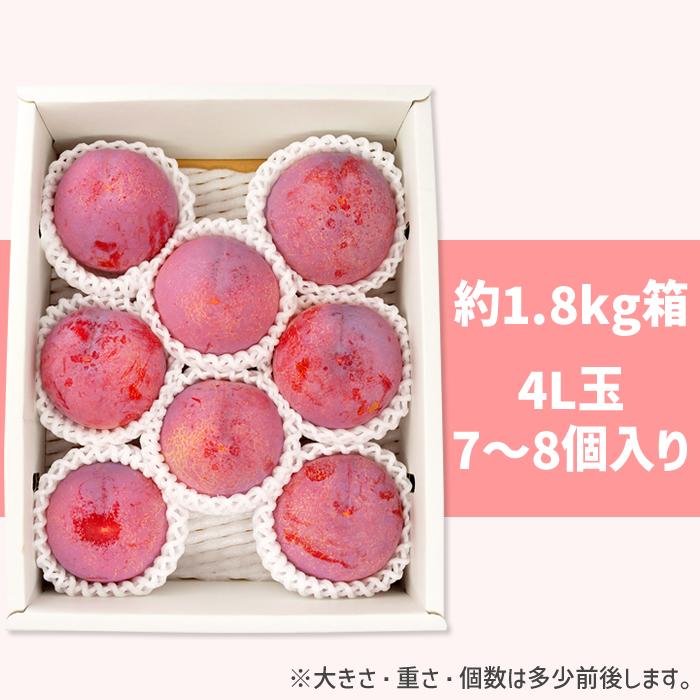 すもも 貴陽 プラム 山梨県 南アルプス市産 送料無料 農家直送 あおい