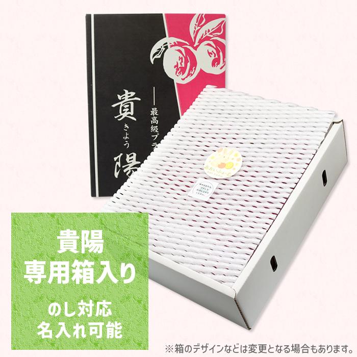 すもも 貴陽 プラム 山梨県 南アルプス市産 送料無料 農家直送 あおい
