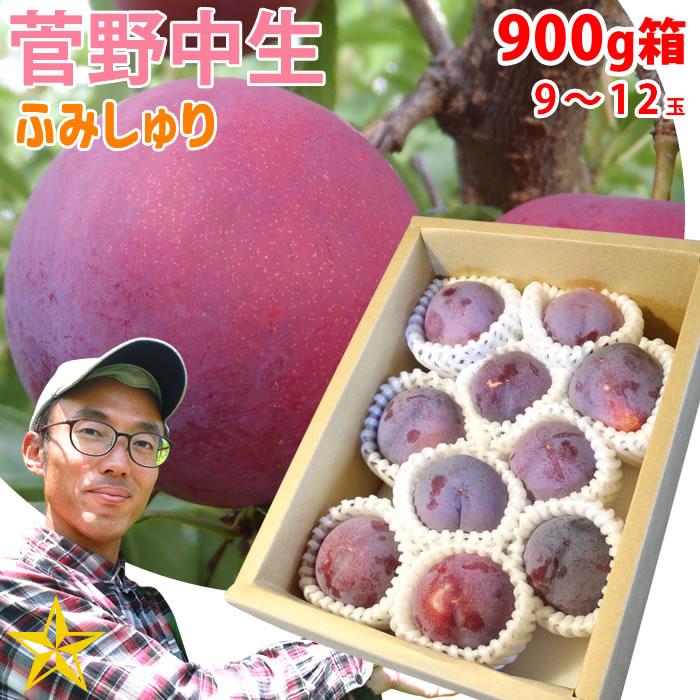 すもも プラム 山梨県 八代産 送料無料 農家直送 ふみしゅり 菅野中生 900g箱 (9〜12玉) :FS-0004:山梨百貨店 - 通販 - すもも プラム 山梨県 八代産 送料無料 農家直送 ふみしゅり 菅野中生 900g箱 (9〜12玉) :FS-0004:山梨百貨店 - 通販 -