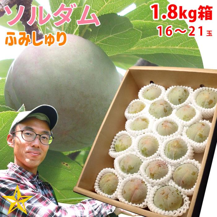 すもも プラム 山梨県 八代産 送料無料 農家直送 ふみしゅり すもも プラム 山梨県 八代産 送料無料 農家直送 ふみしゅり