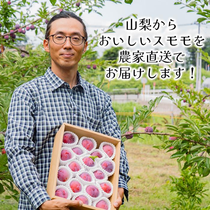 すもも プラム 山梨県 八代産 送料無料 農家直送 ふみしゅり ソルダム 