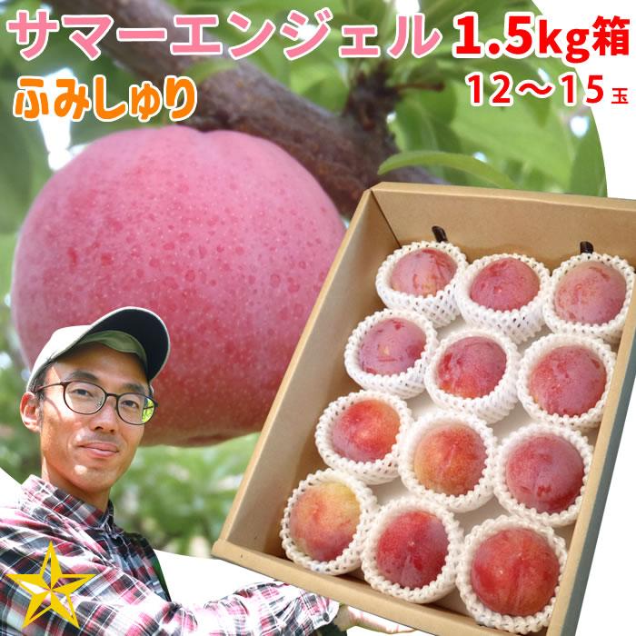 すもも プラム 山梨県 八代産 送料無料 農家直送 ふみしゅり サマー 