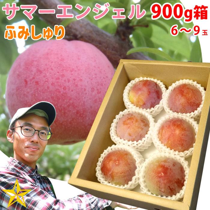 すもも プラム 山梨県 八代産 送料無料 農家直送 ふみしゅり すもも プラム 山梨県 八代産 送料無料 農家直送 ふみしゅり