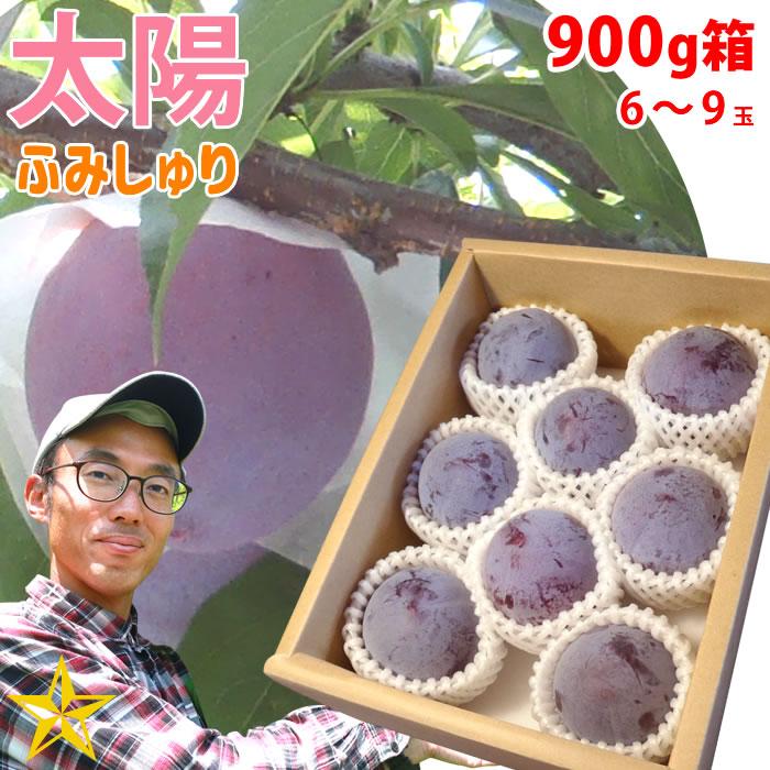 店内全品対象 すもも プラム 山梨県 八代産 送料無料 農家直送 ふみしゅり 太陽 900g箱 6〜9玉 太陽 スモモ プラム