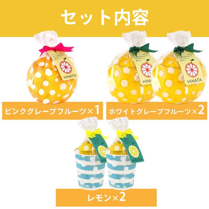 ゼリー 皮の器 まるごと フルーツゼリー グレープフルーツ