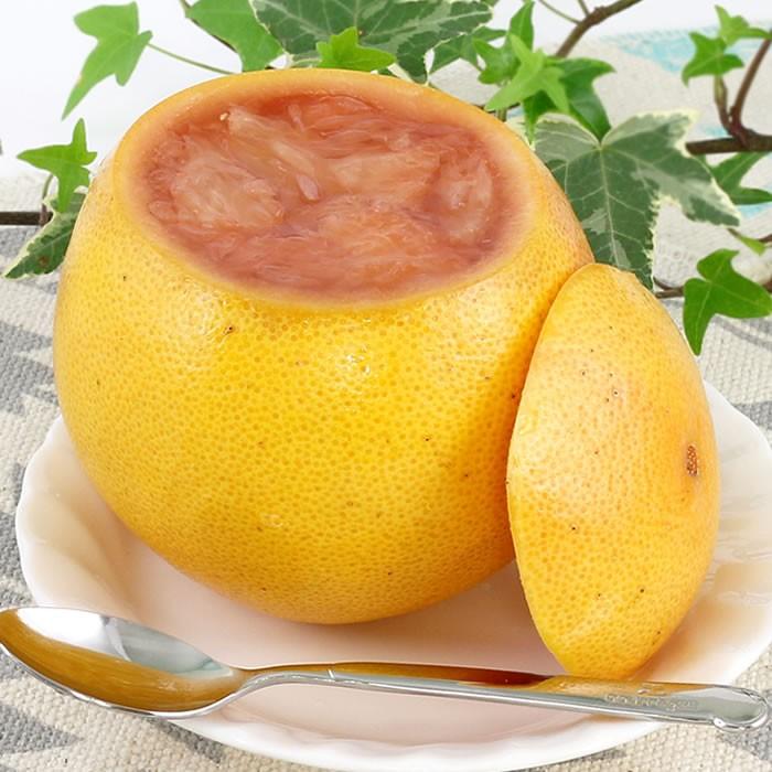 ゼリー 皮の器 まるごと フルーツゼリー グレープフルーツ レモン 5個入 酸っぱいセット Ht 0003 ショップビジョン 通販 Yahoo ショッピング