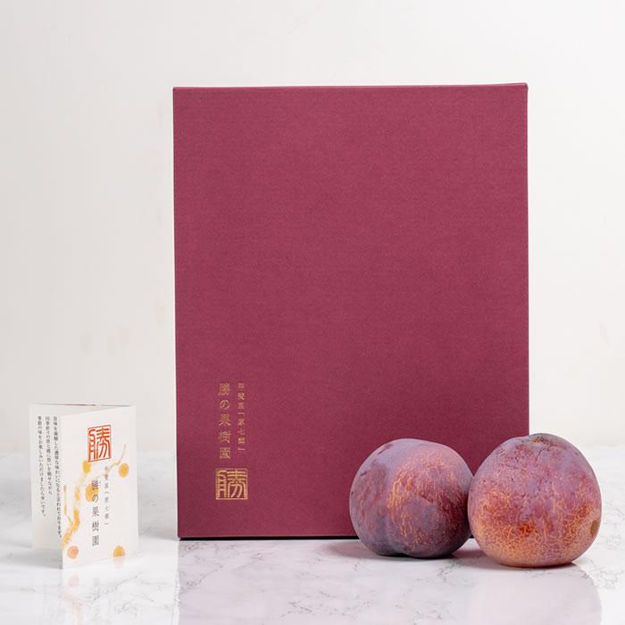 梅 10キロ 南高梅 完熟 本場紀州産 クール便 送料無料【 2L サイズ