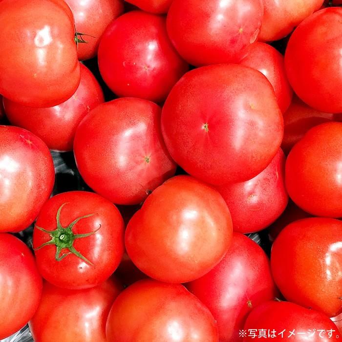 トマトジュース お得セット 無添加 濃厚 100% 山梨県産 おもいろトマトジュース 720ml 12本セット リコペル_4