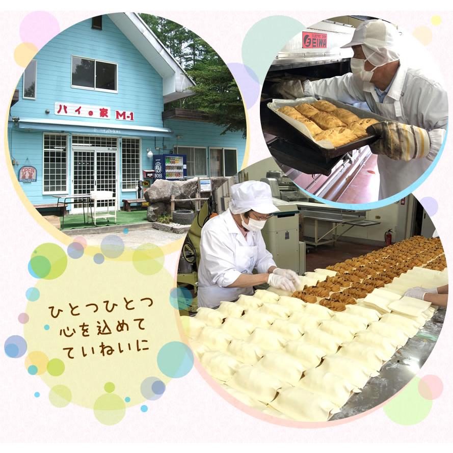 アップルパイ デラックス (約40cm) 八ヶ岳 国産 りんご