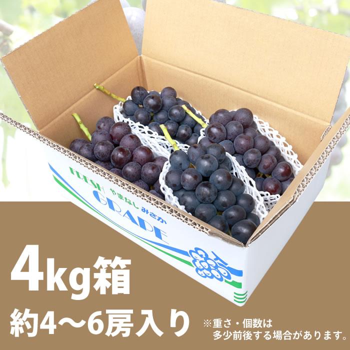 ぶどう 藤稔 山梨県産 送料無料 農家直送 種なしブドウ 大粒品種 荻野さんのぶどう 藤稔(ふじみのり) 大房 4kg箱 （4〜6房） 藤稔