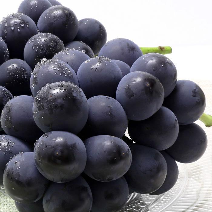 ぶどう 藤稔 山梨県産 送料無料 農家直送 種なしブドウ 大粒品種 荻野さんのぶどう 藤稔(ふじみのり) 大房 4kg箱 （4〜6房） 藤稔