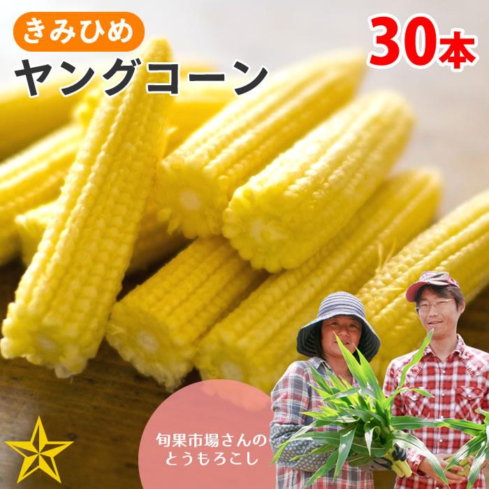 とうもろこし きみひめ ヤングコーン 約30本 山梨県 農家直送 旬果市場（Yahoo!・山梨百貨店）