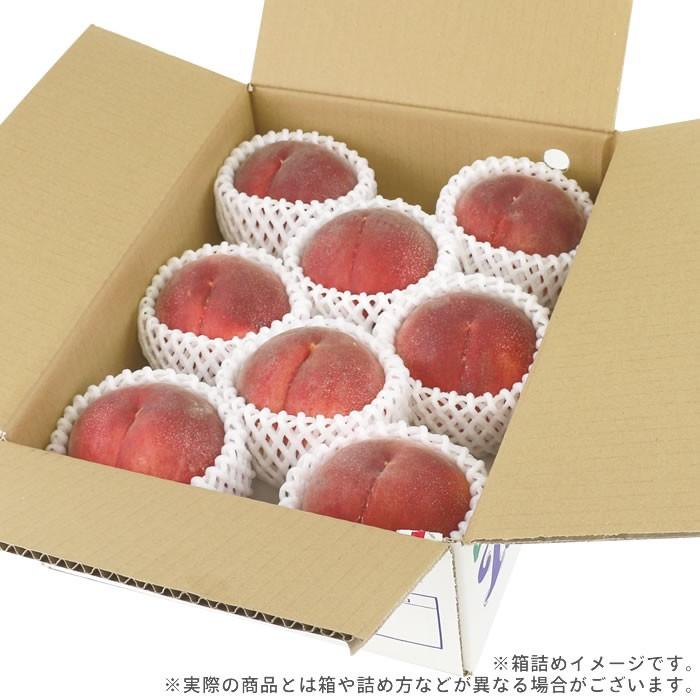 もも 白桃 白鳳 山梨県産 送料無料 朝取 新鮮 農家直送 桃 3kg箱 (8 